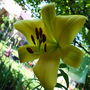 June1508_005
