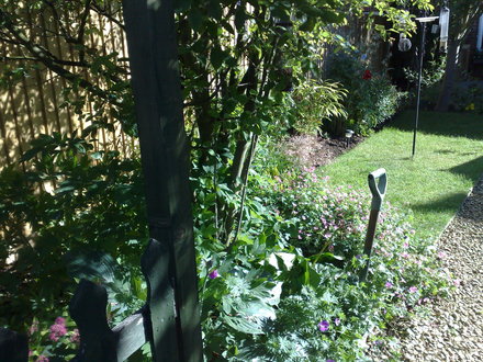 A shady place 