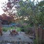 Garden Before