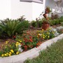 butterfly garden