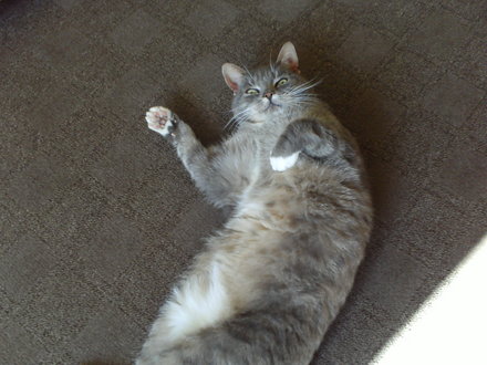 smokey