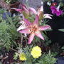2008-06-19_017