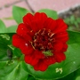 P1020412