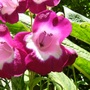 19_june_018