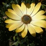 19_june_017