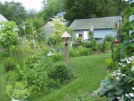 Back Garden - June 2008