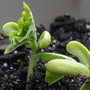 P6160046
