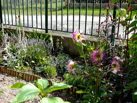 Front garden