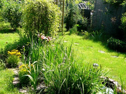 back garden Iin the morning sun