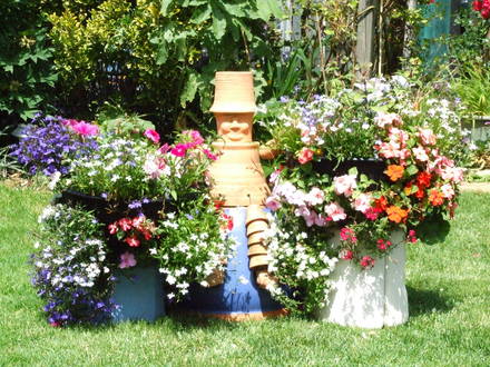 Jackie_s_Garden_Picture_s__19th_June_08_035.jpg (Buzzie Lily)