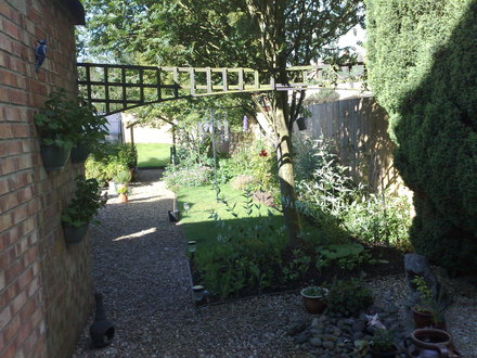 MY GARDEN