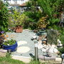 Our_Garden_May_11th_08_044.jpg