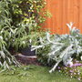 Wind_damage_june_08