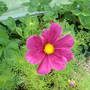 Dscf0006