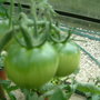 Dscf0011