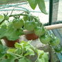 Dscf0012