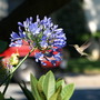 20080620_62b