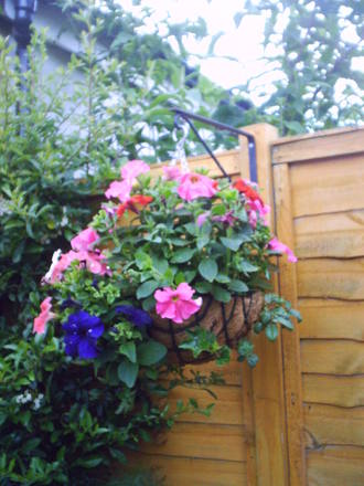 hanging_basket.jpg