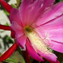 20080620_74b