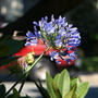 20080620_64b