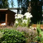My garden