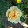 Dsc02063