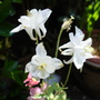 Dsc02065