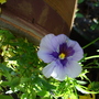 Dsc02082