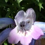 19_june_021
