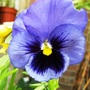 19_june_012
