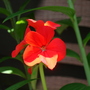 Dsc02091