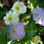 Dsc02092