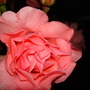 Dsc02105