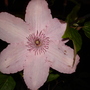 Dsc02107