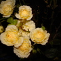 Dsc02109