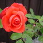 Dsc02114