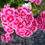 Dsc02119
