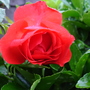 Dsc02124