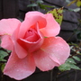 Dsc02127