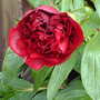 My_documents_my_pictures_132