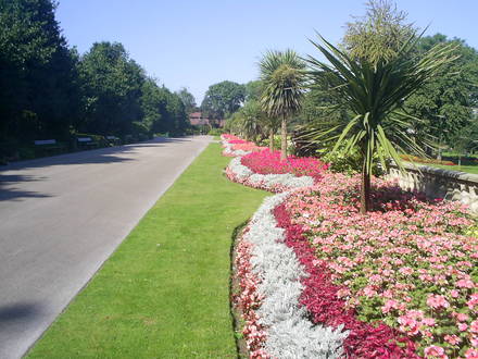 mowbray park sunderland