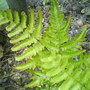 Dsc01008
