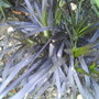Dsc01026