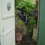 Garden_june_2008_004
