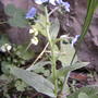 2008-06-20_002
