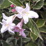 2008-06-20_011
