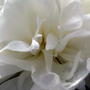 2008-06-20_020