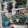 The_garden_in_1974