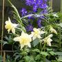 21st_june_003