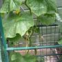 21st_june_017